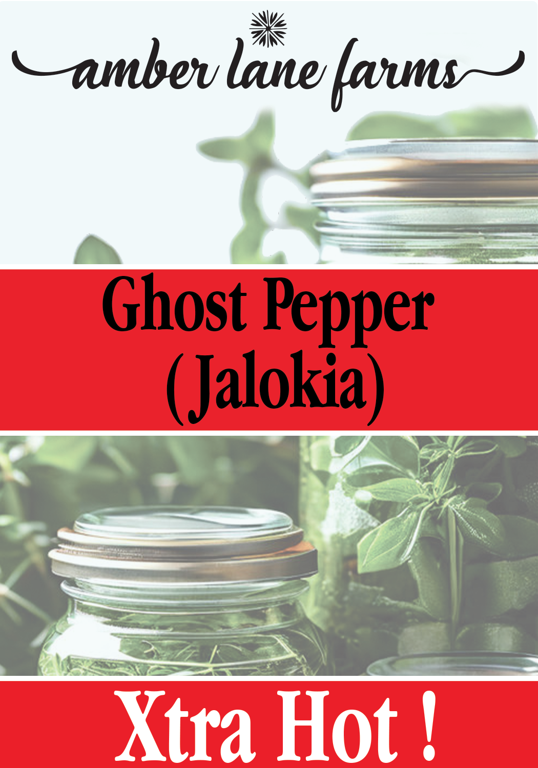 Ghost Pepper (Jalokia) HOT!