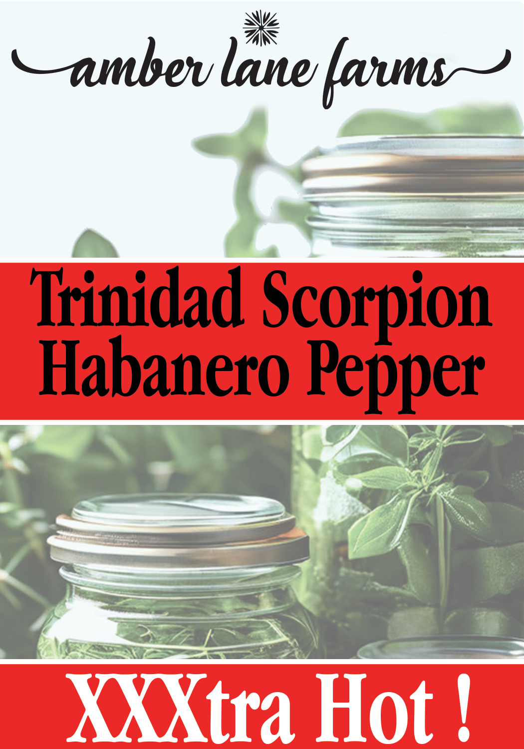 Trinidad Scorpion Habanero Pepper XXX Hot!!
