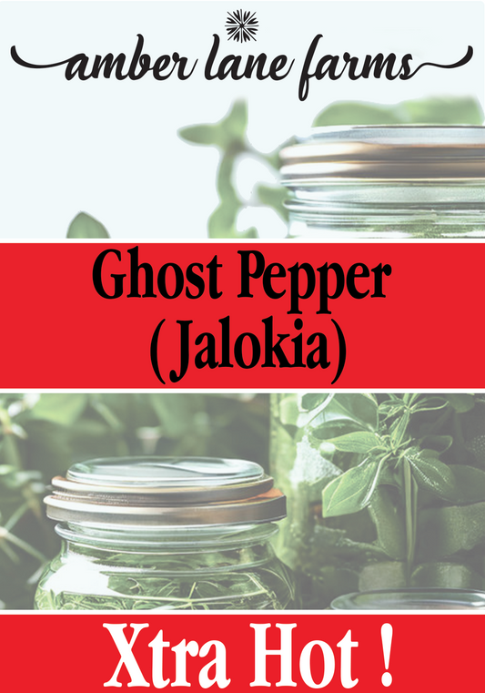 Ghost Pepper (Jalokia)  HOT!